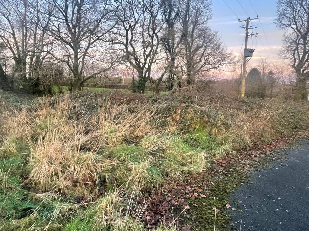 Lot: 15 - FREEHOLD LAND AND ROAD - Land from different angle